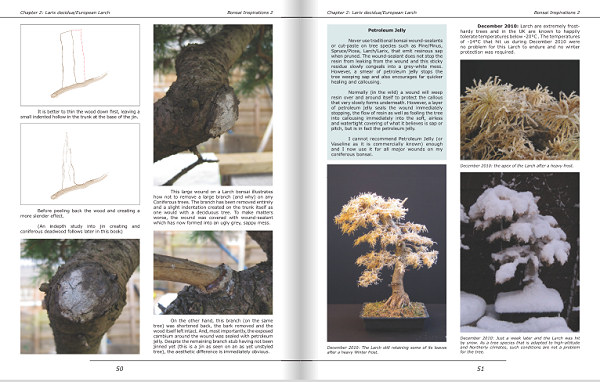 bonsai book